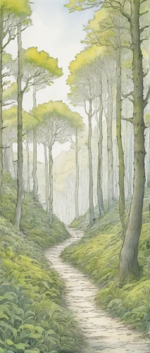 forest path,forest road,pathway,forest glade,hiking path,forest walk,watercolor background,forest landscape,elven forest,maple road,wooden path,woodland,druid grove,the path,beech trees,fairy forest,tree lined path,trail,green forest,copse,Illustration,Black and White,Black and White 13