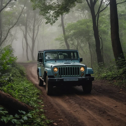 willys-overland jeepster,jeep wrangler,jeep,jeep gladiator rubicon,jeeps,jeep cj,jeep gladiator,jeep rubicon,land rover defender,land rover series,jeep honcho,land-rover,willys jeep,land rover,jeep wagoneer,wrangler,jeep cherokee (xj),cj7,forest road,off-roading,Photography,General,Natural
