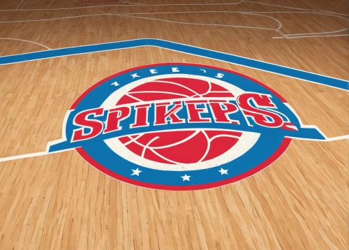 spalding,spike,dribbble logo,spokes,spenter,women's basketball,indoor games and sports,logo header,sprocket,basket wicker,sports center for the elderly,dribbble,girls basketball,parquet,nba,dribbble icon,wheelchair basketball,spoke rim,spirit network,sports wall,Art,Artistic Painting,Artistic Painting 48