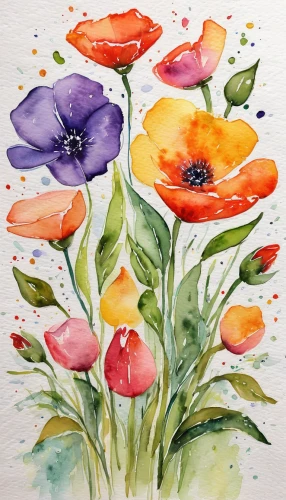 watercolor flowers,watercolour flowers,watercolor flower,watercolour flower,watercolor floral background,flower painting,watercolor,watercolor roses,watercolor painting,watercolor background,watercolor paint,watercolors,floral poppy,watercolor tea,water color,watercolor pencils,watercolour,watercolor paper,poppies,watercolor fruit,Illustration,Paper based,Paper Based 24