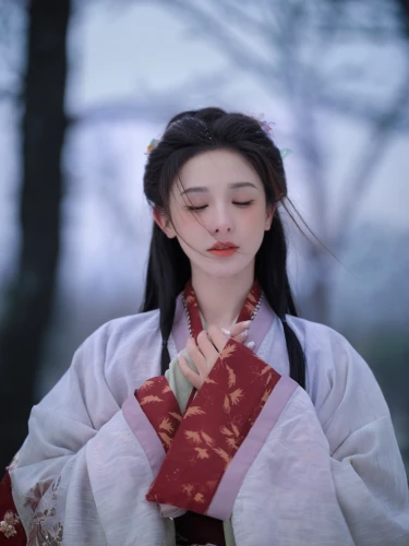 mulan,hanbok,korean culture,korean drama,geisha,hwachae,shuanghuan noble,japanese woman,inner mongolian beauty,mukimono,xizhi,taekkyeon,xiaochi,taiwanese opera,rou jia mo,baozi,tea ceremony,oriental princess,siu mei,yi sun sin