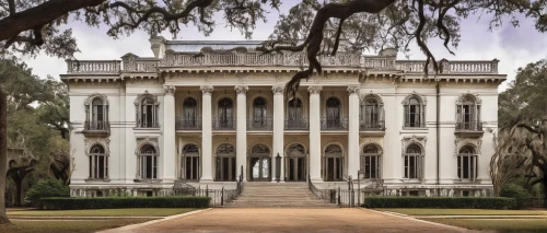 dillington house,florida home,southern belle,mansion,national historic landmark,savannah,henry g marquand house,classical architecture,the white house,brookgreen gardens,louisiana,charleston,neoclassical,rosewood,mississippi,historic house,bendemeer estates,historic courthouse,the palace,white house,Illustration,Black and White,Black and White 03