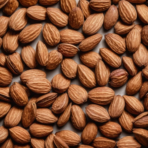 almond nuts,indian almond,almonds,roasted almonds,unshelled almonds,almond meal,almond,salted almonds,pine nuts,almond oil,pecan,pine nut,dry fruit,walnuts,beaked hazelnut,mixed nuts,walnut oil,nuts & seeds,hazelnuts,argan,Photography,General,Natural