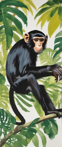 monkey island,barbary monkey,chimpanzee,common chimpanzee,monkey gang,cercopithecus neglectus,monkey banana,primate,siamang,chimp,guenon,primates,white-fronted capuchin,monkey,langur,colobus,the monkey,bonobo,monkeys band,tarzan,Art,Artistic Painting,Artistic Painting 24