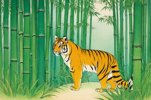 asian tiger,a tiger,tiger png,bengalenuhu,tiger,tigers,bengal tiger,bamboo,young tiger,tigerle,sumatran tiger,bamboo forest,chestnut tiger,bengal,siberian tiger,forest animal,tiger cub,felidae,royal tiger,type royal tiger,Illustration,Japanese style,Japanese Style 21