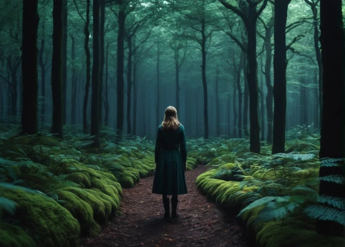 forest of dreams,forest walk,forest path,forest dark,the forest,girl walking away,forest background,girl with tree,green forest,the woods,ballerina in the woods,in the forest,forest,forest floor,haunted forest,the path,woman walking,enchanted forest,photomanipulation,germany forest,Photography,Documentary Photography,Documentary Photography 19