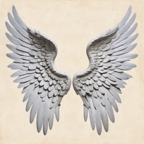 dove of peace,doves of peace,winged heart,angel wing,angel wings,gray eagle,white eagle,winged,wings,bird wings,eagle vector,gryphon,angelology,eagle illustration,bird png,harpy,griffon bruxellois,imperial eagle,emblem,wingtip,Art,Classical Oil Painting,Classical Oil Painting 02