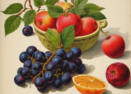 summer fruit,the fruit,fruit bowl,fruit basket,basket of fruit,bowl of fruit,plums,summer still-life,fresh fruits,table grapes,fruits plants,fruit tree,fruit plate,autumn fruit,fruit trees,mixed fruit,autumn fruits,fruit syrup,red fruits,bowl of fruit in rain,Illustration,Black and White,Black and White 28