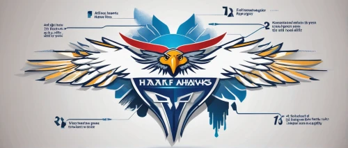 eagle vector,garuda,lazio,stadium falcon,thunderbird,patung garuda,indian air force,military organization,firebirds,national emblem,emblem,mascot,crest,sky hawk claw,eagle illustration,roadrunner,owl background,imperial eagle,prince of wales feathers,phoenix rooster,Unique,Design,Infographics