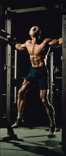 bodybuilding supplement,biceps curl,muscle angle,edge muscle,bodybuilding,overhead press,biomechanically,buy crazy bulk,strength training,body-building,rotator cuff,squat position,triceps,body building,anabolic,equal-arm balance,bodybuilder,deadlift,muscle icon,strengthening,Art,Artistic Painting,Artistic Painting 22