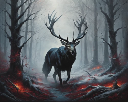 manchurian stag,elk,stag,cervus elaphus,trioceros,deer bull,pere davids deer,deer illustration,buffalo plaid antlers,horned,glowing antlers,caribou,red deer,black doe,elk bull,forest animal,whitetail,winter deer,bull moose,deer in tears,Conceptual Art,Fantasy,Fantasy 29