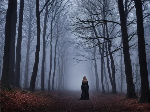 girl walking away,sleepwalker,woman walking,haunted forest,gothic woman,the mystical path,girl with tree,mystical portrait of a girl,hollow way,forest walk,black forest,ballerina in the woods,forest of dreams,foggy forest,the path,the wanderer,dance of death,forest path,dark gothic mood,photomanipulation,Photography,Documentary Photography,Documentary Photography 24