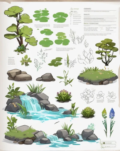 aquatic plants,pond plants,aquatic herb,aquatic plant,water plants,water smartweed,water spinach,lotus plants,perennial plants,small plants,hornwort,water courses,plant bed,water-leaf family,garden herbs,rockcress,garden plants,medicinal plants,wild herbs,garden pond,Unique,Design,Character Design