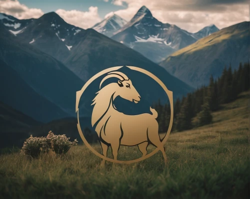 llama,mountain sheep,camelid,lama,llamas,elk,animal icons,golden unicorn,feral goat,bazlama,altiplano,guanaco,gryphon,zermatt,wild sheep,bighorn,unicorn background,valais,montana,ramsau,Photography,Documentary Photography,Documentary Photography 01