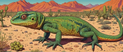 iguanidae,landmannahellir,desert iguana,cyclura nubila,green iguana,saurian,sonoran,sonoran desert,aucasaurus,iguana,dinosaruio,tyrannosaurus,collared lizard,giant lizard,tyrannosaurus rex,trex,tirannosaurus,raptor,dino,pachycephalosaurus,Illustration,American Style,American Style 15