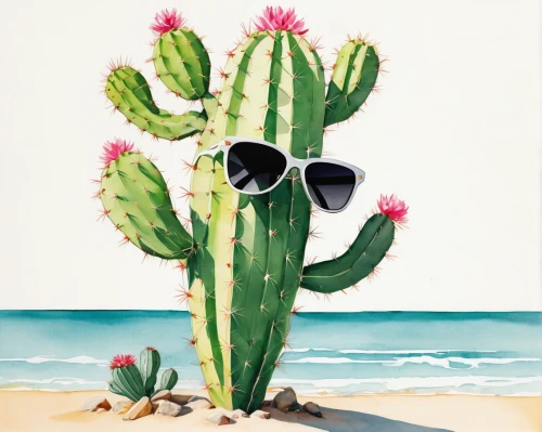 watercolor cactus,cactus,prickly pear,cactus digital background,kawaii cactus,cacti,san pedro cactus,dutchman's-pipe cactus,large-flowered cactus,desert plant,eastern prickly pear,prickly,pitaya,cactus flower,moonlight cactus,succulent plant,nopal,cactus apples,cactus flowers,night-blooming cactus,Art,Artistic Painting,Artistic Painting 24