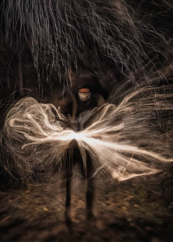 steel wool,steelwool,drawing with light,supernatural creature,light painting,lightpainting,nine-tailed,shamanic,apophysis,photomanipulation,apparition,fire dancer,light drawing,coil,shamanism,emergence,photo manipulation,long exposure light,shaman,the witch,Photography,Artistic Photography,Artistic Photography 04