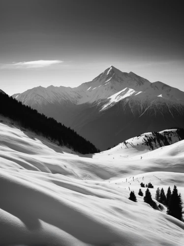 ortler winter,mont blanc,snow landscape,ortler,snowdrift,breithorn,high alps,snowfield,ski touring,south-tirol,landscape mountains alps,the alps,engadin,snowy landscape,alps,monte-rosa-group,winter landscape,tatry,deep snow,snow fields,Illustration,Black and White,Black and White 33