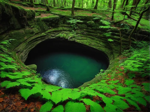 underground lake,cave on the water,pigeon spring,mountain spring,water spring,blue cave,wishing well,pit cave,green water,sinkhole,crescent spring,green waterfall,water hole,the source of the danube,thermal spring,germany forest,the wolf pit,slovenia,mineral spring,cenote,Photography,Artistic Photography,Artistic Photography 13