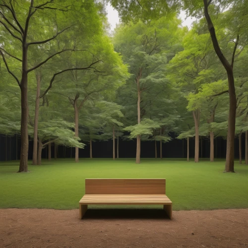 wooden bench,benches,meiji jingu,park bench,outdoor bench,garden bench,bench,wood bench,nara park,red bench,green space,man on a bench,park akanda,wooden mockup,forest ground,nara prefecture,japan peace park,urban park,green forest,resting place,Conceptual Art,Daily,Daily 18