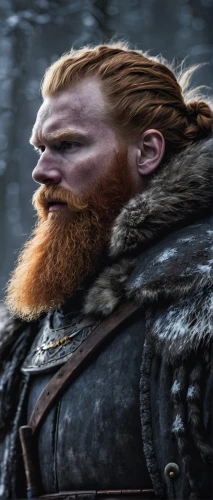 dwarf sundheim,viking,jon boat,lokportrait,bordafjordur,clàrsach,pat,northern longear,nördlinger ries,dwarf,thorin,vikings,nordic bear,dwarf cookin,male elf,haighlander,beard,norse,scot,tartarstan,Conceptual Art,Fantasy,Fantasy 11