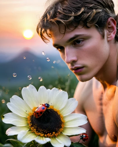 pollinating,pollinate,flower in sunset,pollination,nature and man,pollinator,flower nectar,wildflower,ladybug,on a wild flower,rose beetle,summer flowers,flower essences,romantic portrait,male model,sunflowers and locusts are together,fusion photography,photo manipulation,ladybugs,flower background,Photography,Documentary Photography,Documentary Photography 31