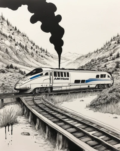amtrak,maglev,international trains,high-speed rail,electric locomotives,long-distance train,trains,train crash,the train,intercity train,high-speed train,train of thought,intercity,train,passenger train,intercity express,electric train,bullet train,animal line art,high speed train,Illustration,Black and White,Black and White 34