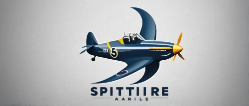 supermarine spitfire,north american p-51 mustang,vought f4u corsair,swordfish,seaplane,spindle,republic p-47 thunderbolt,triplane,constellation swordfish,grumman f8f bearcat,sperling,corsair,douglas sbd dauntless,sport aircraft,grumman f6f hellcat,lockheed hudson,spenter,spire,serpentine,tail fins,Photography,Artistic Photography,Artistic Photography 11