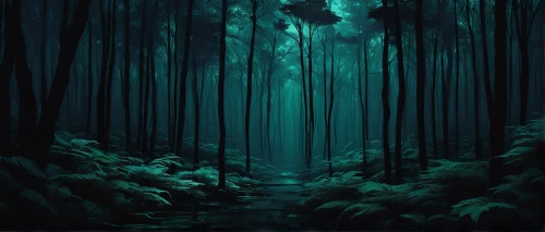 forest dark,haunted forest,forest,forest of dreams,the forest,elven forest,forest background,forests,enchanted forest,forest path,green forest,forest glade,foggy forest,forest landscape,winter forest,the forests,fairy forest,forest walk,the woods,fairytale forest,Illustration,Japanese style,Japanese Style 17