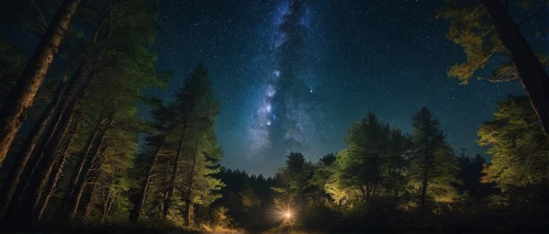the milky way,milky way,starry night,the night sky,starry sky,night sky,night image,astronomy,night stars,perseid,light trail,milkyway,forest of dreams,nightsky,astrophotography,meteor shower,borealis,boreal,nightscape,night photograph,Photography,General,Commercial