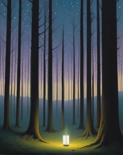 background vector,forest of dreams,forest background,night scene,fireflies,nightlight,forest landscape,night light,world digital painting,cartoon video game background,sci fiction illustration,light of night,enchanted forest,illuminated lantern,star wood,pine forest,lantern,digital painting,forest,lanterns,Art,Artistic Painting,Artistic Painting 48