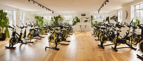 indoor cycling,fitness room,fitness center,exercise equipment,stationary bicycle,indoor rower,elliptical trainer,workout equipment,automotive bicycle rack,bicycle trainer,bike city,cycle sport,bicycles,gymnastics room,exercise machine,showroom,bikes,leisure facility,bicycle clothing,riding school,Illustration,Retro,Retro 21