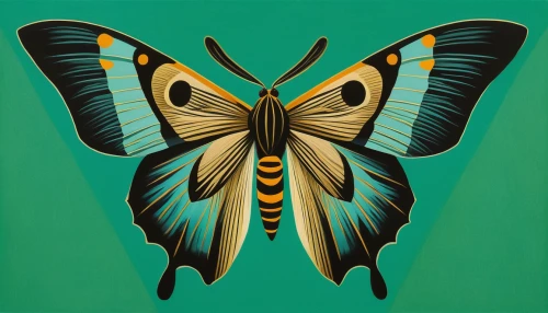 butterfly green,butterfly vector,hesperia (butterfly),butterfly background,tropical butterfly,isolated butterfly,papilio machaon,ulysses butterfly,butterfly isolated,butterfly moth,cupido (butterfly),papilio,butterfly,lepidopterist,melanargia,butterfly pattern,lepidoptera,vanessa (butterfly),colias,gatekeeper (butterfly),Art,Artistic Painting,Artistic Painting 08