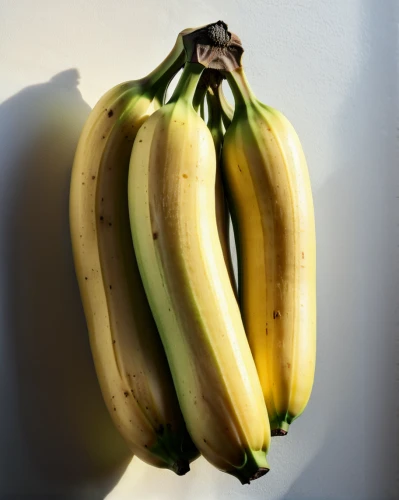 banana family,monkey banana,ripe bananas,saba banana,bananas,nanas,banana,banana cue,banana plant,banana peel,dolphin bananas,semi-ripe,dried bananas,banana trees,banana tree,superfruit,pome fruit family,still life photography,banana box market,half ripe,Photography,Artistic Photography,Artistic Photography 09