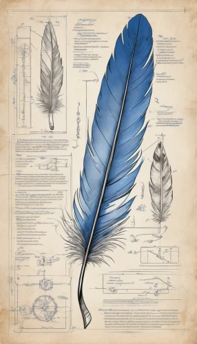 hawk feather,white feather,feather jewelry,feather pen,chicken feather,feather,bird feather,black feather,feather headdress,pigeon feather,peacock feather,beak feathers,prince of wales feathers,feathers,raven's feather,peacock feathers,blueprint,swan feather,parrot feathers,feathers bird,Unique,Design,Blueprint