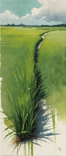 ricefield,the rice field,rice field,paddy field,rice fields,rice paddies,long grass,yamada's rice fields,sweet grass,freshwater marsh,reed grass,tidal marsh,rice cultivation,green wheat,wheat grass,marsh,grass grasses,reeds,polder,yellow grass,Illustration,Paper based,Paper Based 05