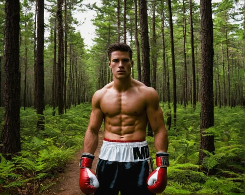 professional boxer,boxing,kickboxer,kickboxing,boxer,shoot boxing,forest man,danila bagrov,nature and man,fitnes,forestry,woods,professional boxing,athletic,sixpack,boxing gloves,boxers,in the forest,jogger,muay thai,Illustration,American Style,American Style 12