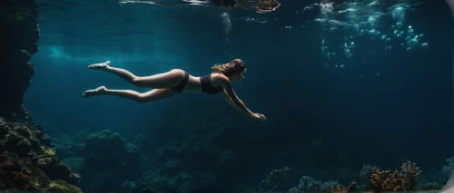 cenote,underwater background,submerged,under the water,underwater diving,under water,water nymph,underwater,sunken,submerge,freediving,diving,underwater landscape,mermaid background,undersea,dive,underwater playground,diver,underwater world,jumping off,Photography,Artistic Photography,Artistic Photography 01