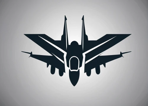 eagle vector,vector design,lockheed yf-12,vector,f-15,fighter jet,f-111 aardvark,vector graphic,fighter aircraft,stealth aircraft,f-22 raptor,united states air force,vector art,f-16,mcdonnell douglas f-15e strike eagle,decepticon,mobile video game vector background,vector illustration,gray icon vectors,hornet,Unique,Paper Cuts,Paper Cuts 05