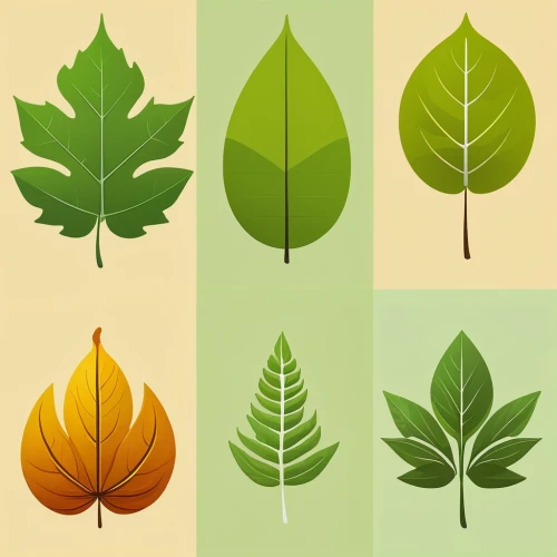 leaf icons,leaf background,leaf drawing,spring leaf background,mape leaf,water-leaf family,leaf rectangle,leaf pattern,walnut leaf,four-leaf,autumn leaf paper,the leaves of chestnut,fan leaf,leaf border,leaf green,tree leaves,chestnut leaf,leafed through,colored leaves,maple leave,Conceptual Art,Sci-Fi,Sci-Fi 15