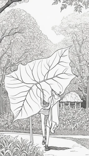 giant leaf,leaf drawing,paper umbrella,japanese umbrella,parasol,greenhouse cover,garden fairy,parasols,asian umbrella,illustration of the flowers,japanese umbrellas,pak-choi,fan leaf,brugmansia,four-leaf,tabebuia,summer umbrella,mukimono,rice paper,crinoline,Illustration,Black and White,Black and White 24