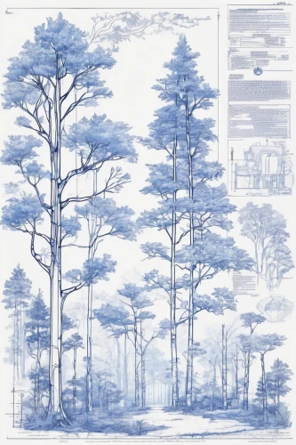 pine trees,trees with stitching,trees,snow trees,conifers,tree tops,larch trees,pine forest,larch forests,cartoon forest,the trees,forests,shortstraw pine,watercolor pine tree,bare trees,fir forest,row of trees,of trees,deciduous trees,beech trees,Unique,Design,Blueprint