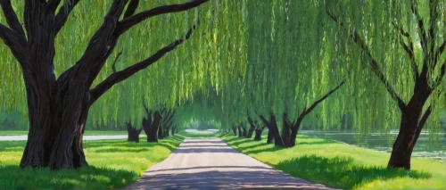 weeping willow,tree lined path,tree-lined avenue,tree lined lane,tree lined,row of trees,green landscape,bamboo forest,green forest,green trees,green trees with water,pathway,aaa,cherry blossom tree-lined avenue,poplar tree,corkscrew willow,pollarded willow,birch alley,tree canopy,tree grove,Conceptual Art,Sci-Fi,Sci-Fi 14