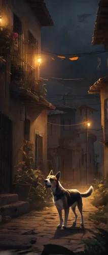 dusk background,stray dog,howl,stray dogs,street dog,stray dog on road,dusk,night scene,dog street,rescue alley,stray,stray cat,dog illustration,strays,black shepherd,meteora,night watch,street cat,akita inu,chinese pastoral cat,Conceptual Art,Fantasy,Fantasy 02