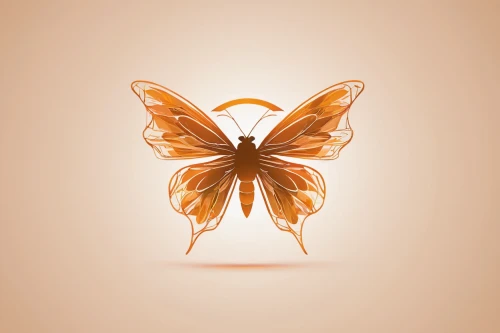 butterfly vector,butterfly background,butterfly clip art,orange butterfly,butterfly isolated,hesperia (butterfly),cupido (butterfly),isolated butterfly,vanessa (butterfly),viceroy (butterfly),euphydryas,butterfly,gatekeeper (butterfly),janome butterfly,melitaea,passion butterfly,polygonia,c butterfly,french butterfly,brown sail butterfly,Conceptual Art,Daily,Daily 12