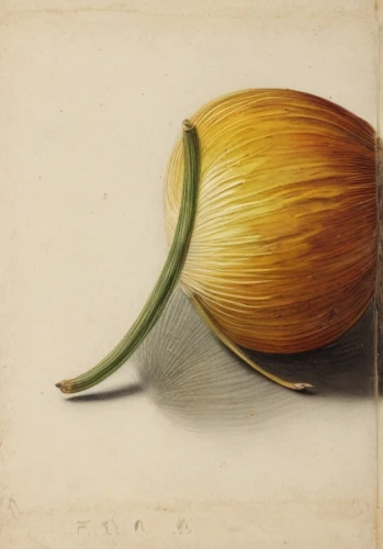 still life with onions,shallot,cultivated garlic,persian onion,sfogliatelle,capreolus capreolus,figleaf gourd,clove of garlic,endive,clove garlic,yellow onion,a clove of garlic,acorn,head of garlic,cucurbita,seed,onion bulbs,the early gooseberry,physalis peruviana,hardneck garlic,Calligraphy,Painting,Still Life With Long Table