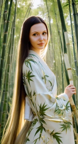 bamboo flute,bamboo,ao dai,bamboo plants,bamboo forest,geisha,oriental princess,hawaii bamboo,bamboo curtain,kimono,bamboo shoot,junshan yinzhen,oriental longhair,shakuhachi,geisha girl,lemongrass,mulan,oriental girl,inner mongolian beauty,bamboo frame