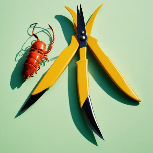 ananas,arthropod,arthropods,propeller,marine invertebrates,pair of scissors,muroidea,insects,splendens,united propeller,fishing lure,scissors,entomology,pitchfork,gammarus,crustacean,banana peel,garden tools,summer still-life,crustaceans,Photography,Documentary Photography,Documentary Photography 06