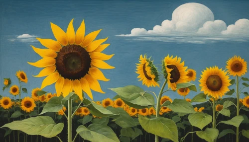 sunflowers in vase,sunflower field,sunflowers,helianthus,helianthus sunbelievable,sunflower paper,sunflowers and locusts are together,sun flowers,woodland sunflower,sunflower,perennials-sun flower,sun flower,sunflower lace background,grant wood,sunflower coloring,flowers sunflower,stored sunflower,helianthus occidentalis,rudbeckia,summer still-life,Art,Artistic Painting,Artistic Painting 02