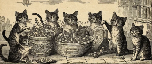 vintage cats,sardines,cat supply,cats,fish market,vintage cat,fishmonger,cat's cafe,oktoberfest cats,cat food,cart of apples,kate greenaway,cat family,sardine,stray cats,cat european,felines,stockfish,basket of fruit,cat image,Art,Classical Oil Painting,Classical Oil Painting 39